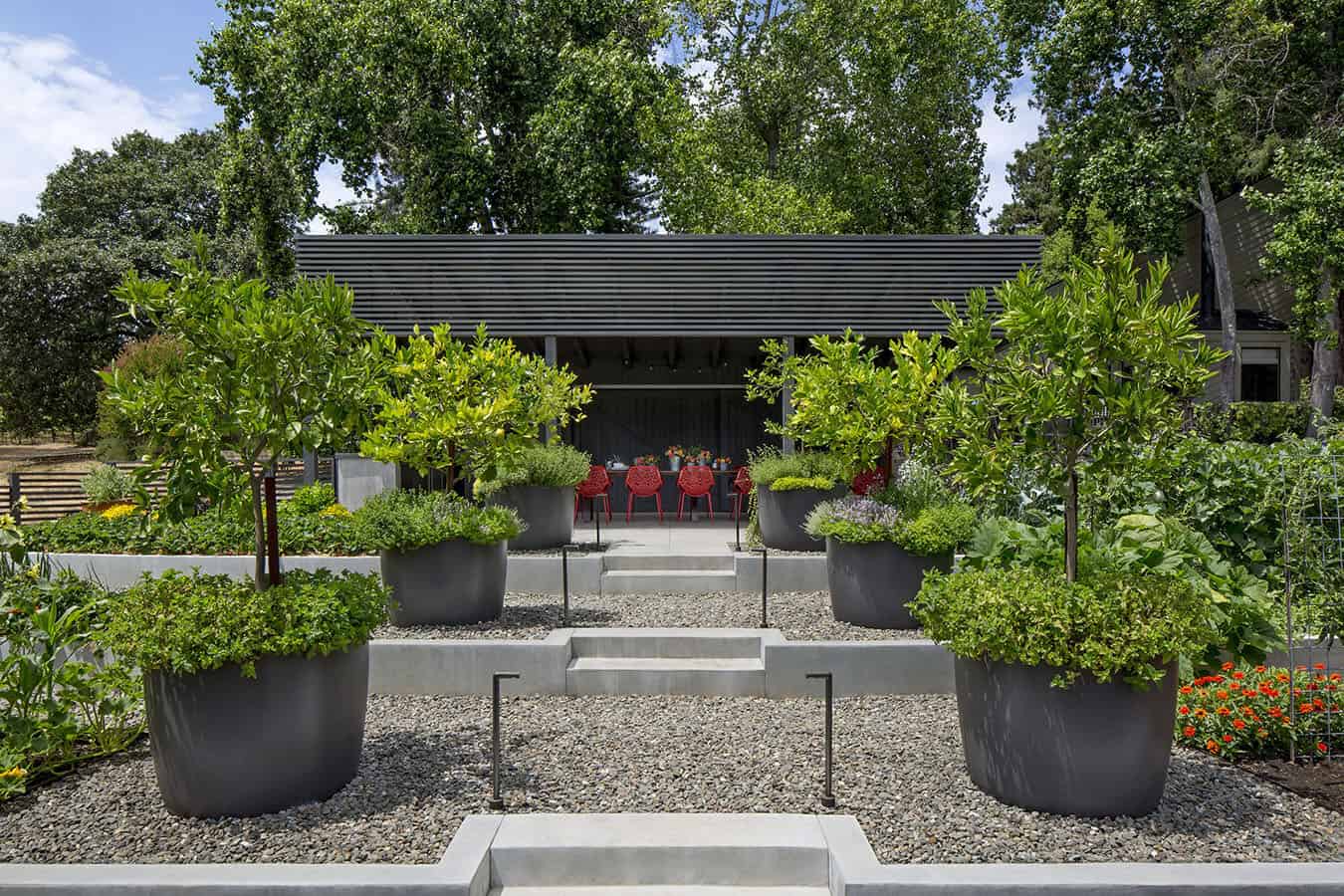 A garden with many plants and trees in pots